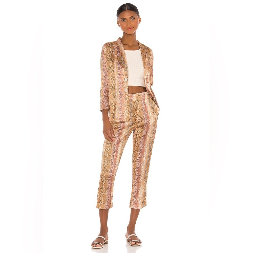 Beach Riot Snake Print Blazer and Pants Suit